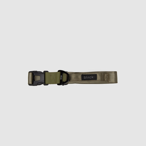 COLLAR PETS COLLECTION