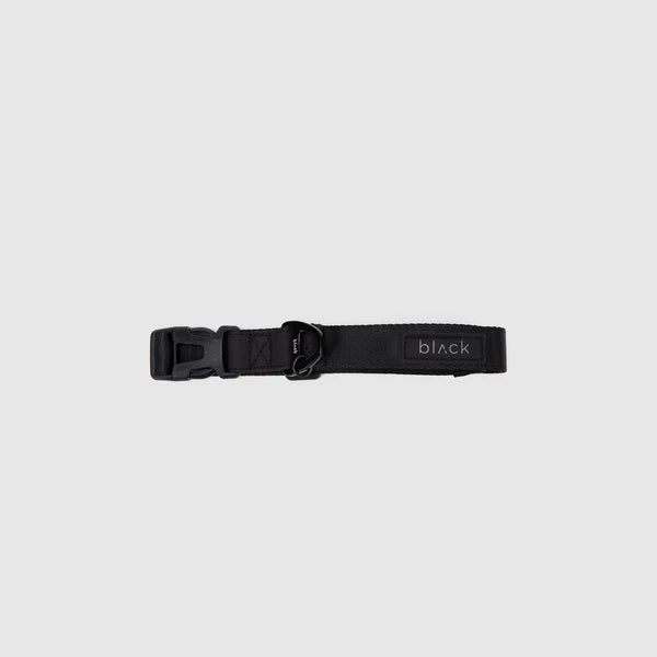 COLLAR PETS COLLECTION